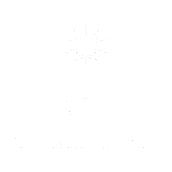 Logo of University of Chile