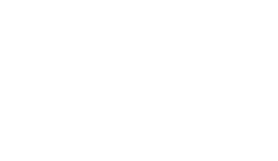 Diego Portales University